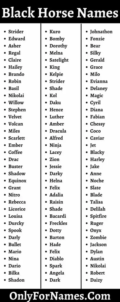 Black Horse Names To Call Your Black Horse