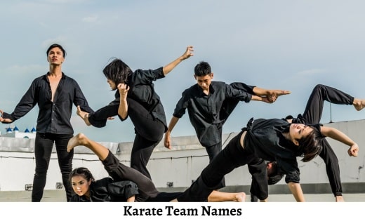 Karate Team Names
