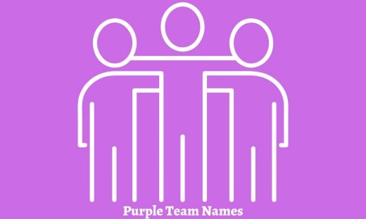 Purple Team Names