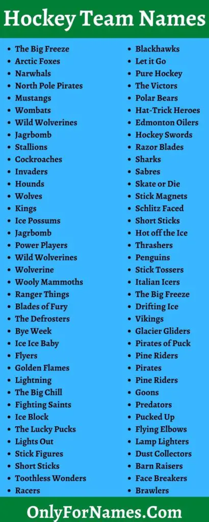 459+ Hockey Team Names [good, Unique, Catchy, Cool & Best]