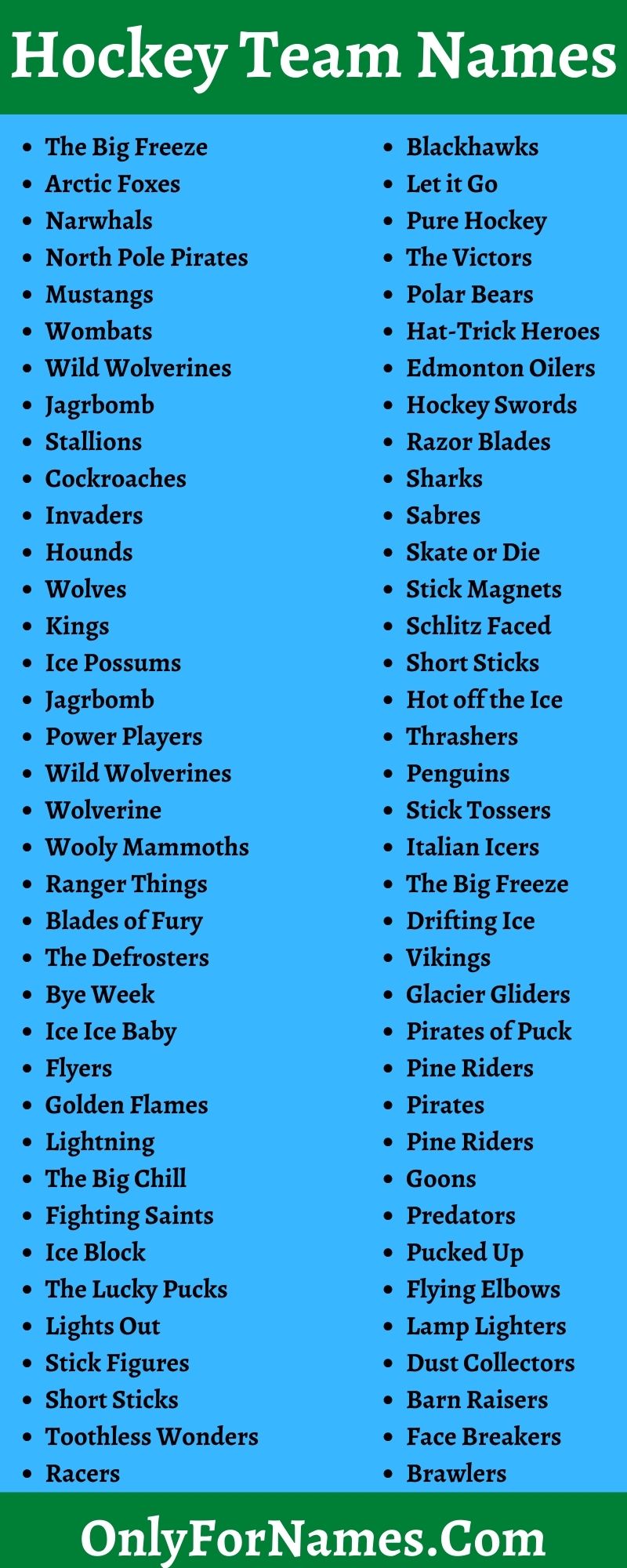 459+ Hockey Team Names [Good, Unique, Catchy, Cool & Best]