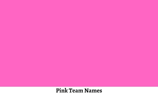 Pink Team Names