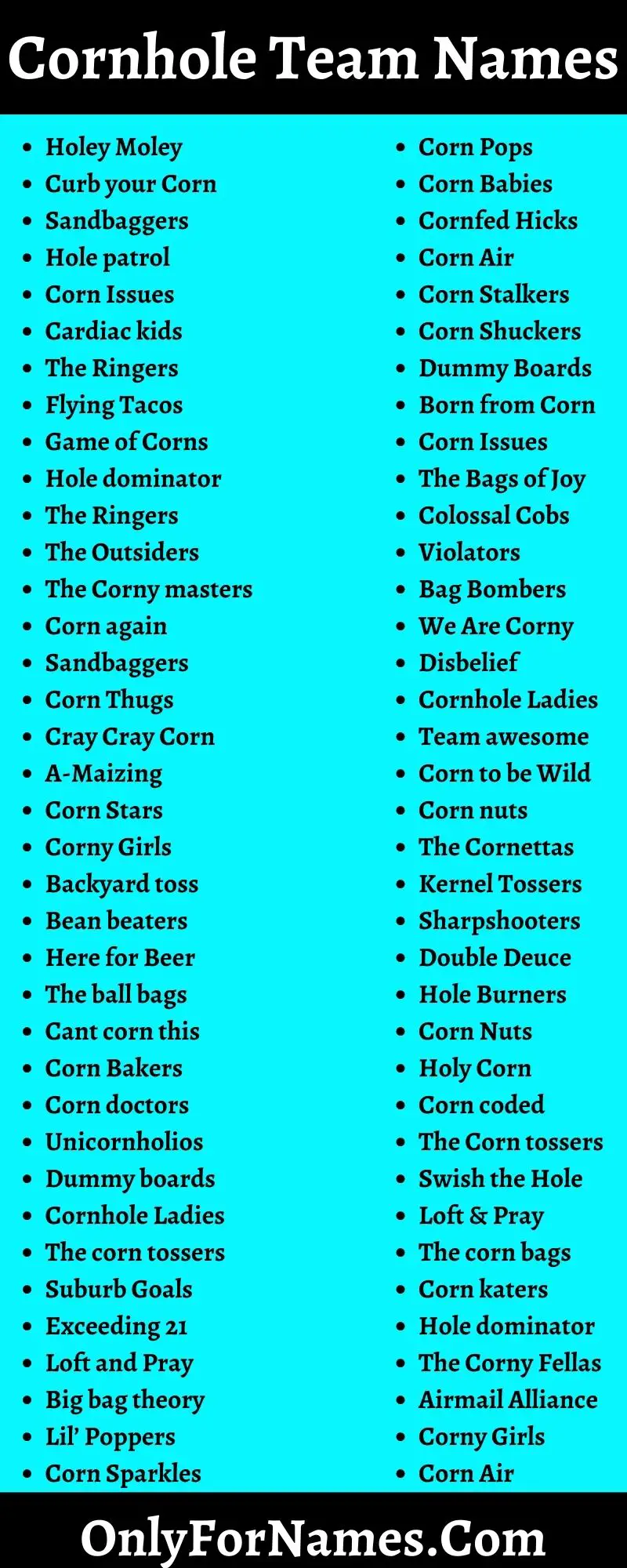 400 Cornhole Team Names You Must Check Out The Suggestions