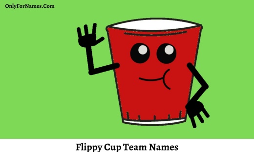 Flippy Cup Team Names