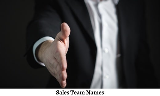 400+ Sales Team Names To Complete More Sales