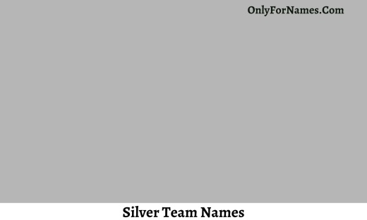 Silver Team Names