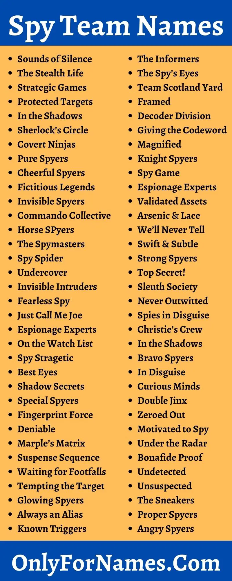 Spy Team Names
