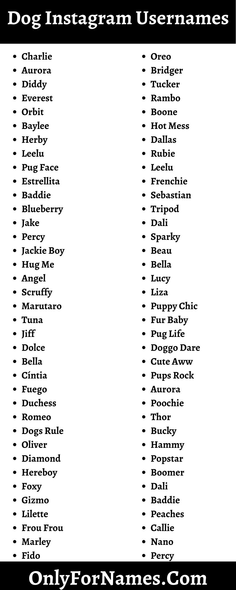 Dog Instagram Usernames