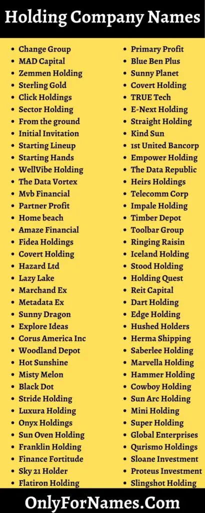 Holding Company Names & Parent Company Names Ideas