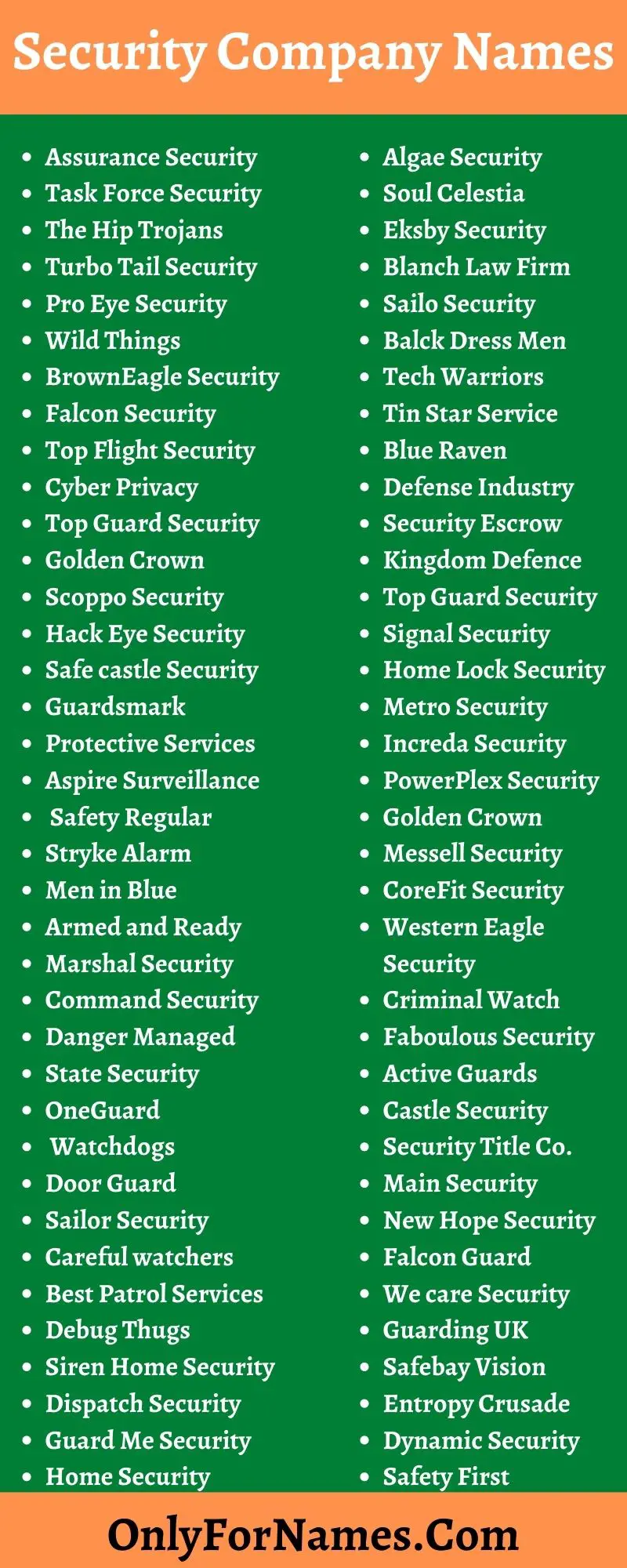Security Company Names