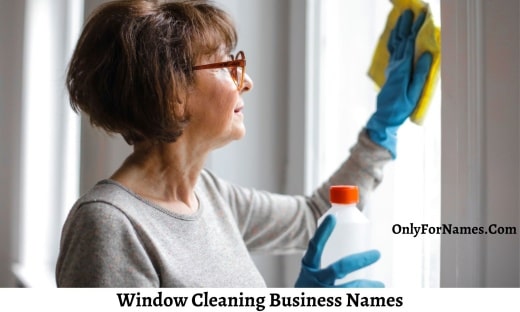 Window Cleaning Business Names