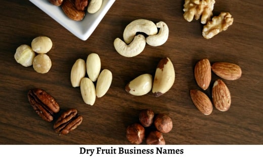 Dry Fruit Business Names