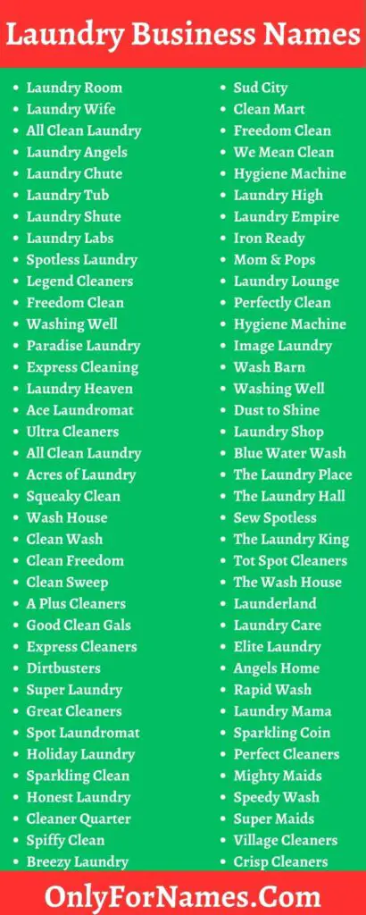 Laundry Business Names 3 410x1024 