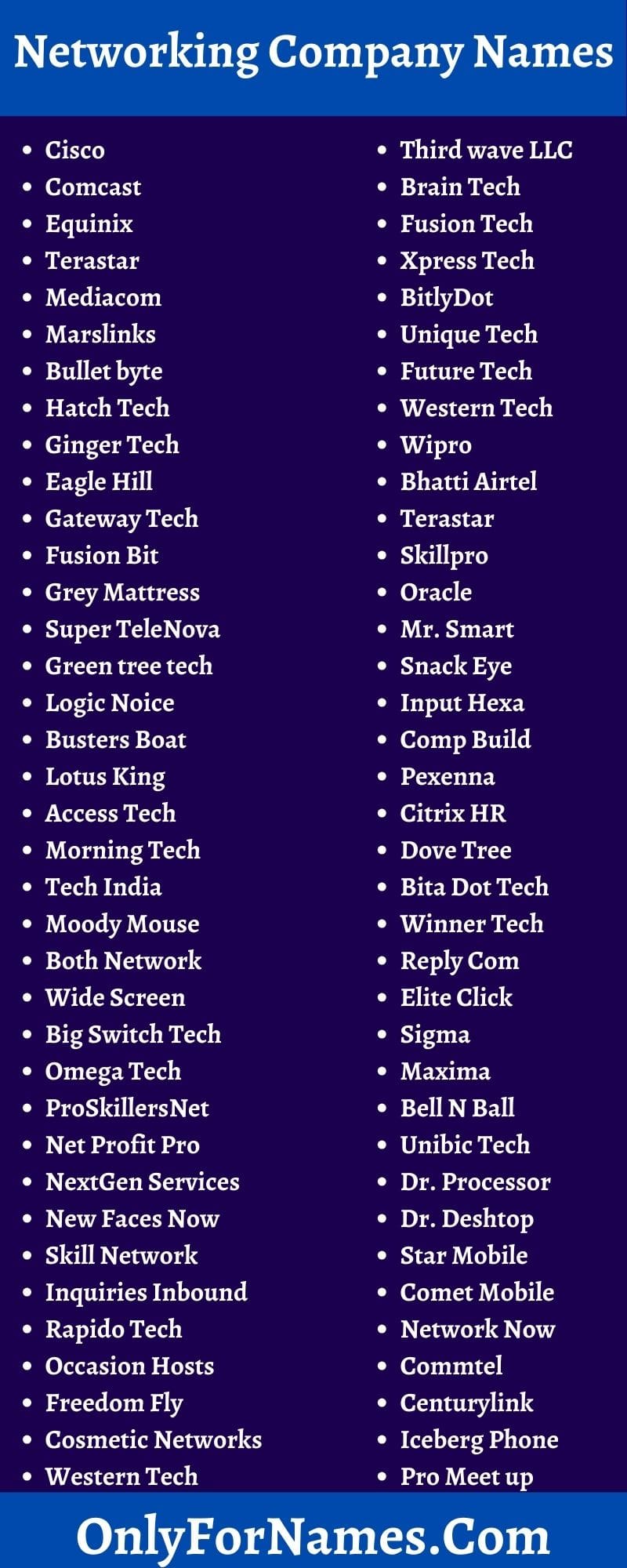 Networking Company Names