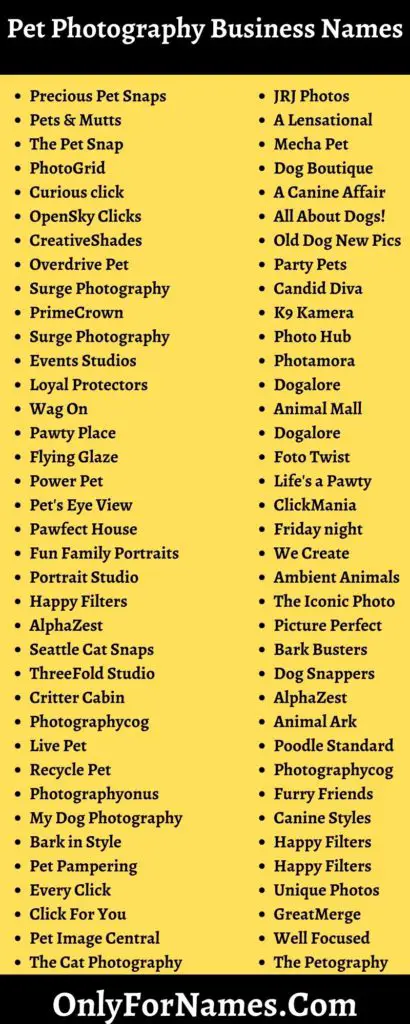 501-pet-photography-business-names-for-cute-cool-pets