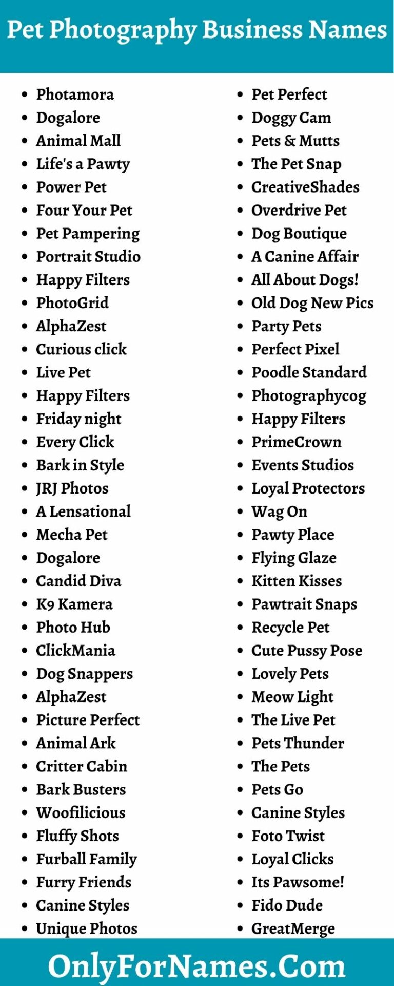 179+ Pet Photography Business Names For Cute & Cool Pets