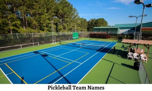 Pickleball Team Names