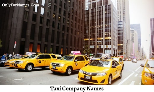 Taxi Company Names