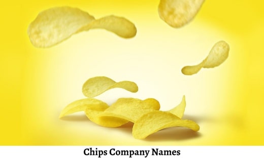 Chips Company Names