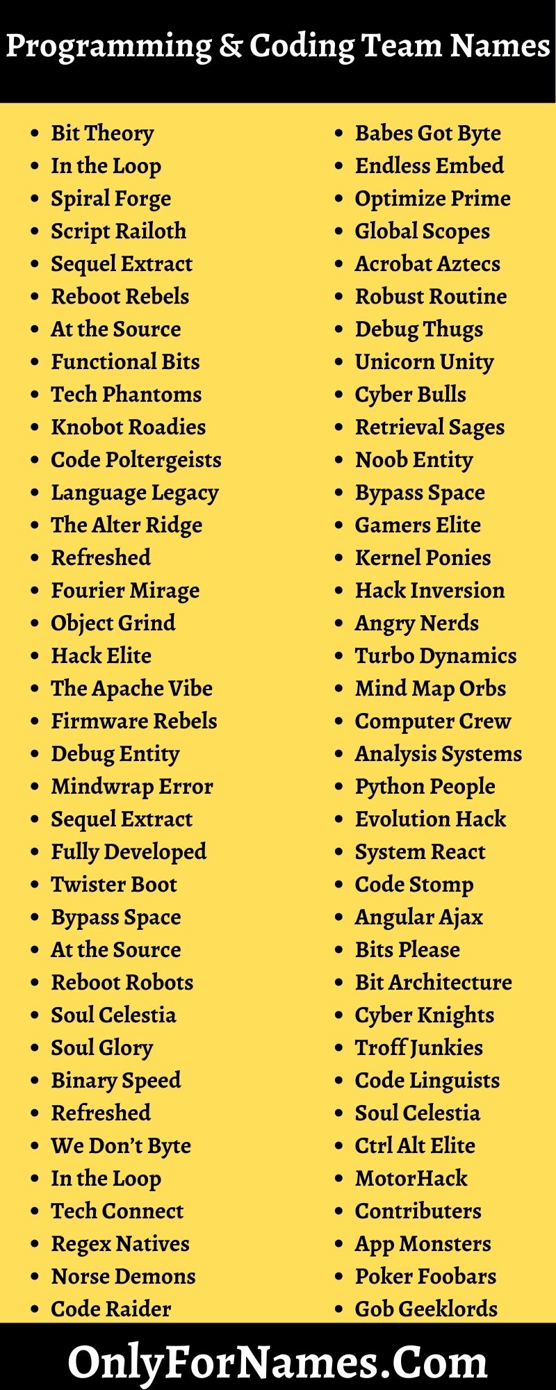 Programming & Coding Team Names