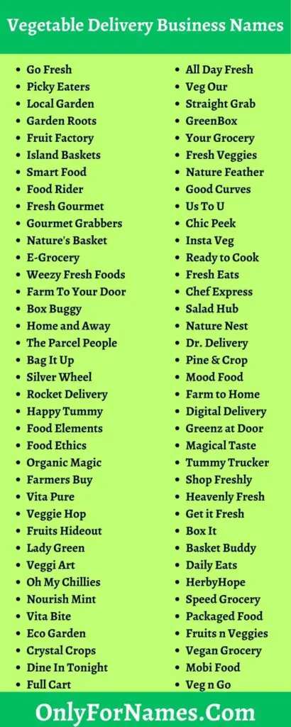 262+ Vegetable Delivery Business Names & Suggestions Also