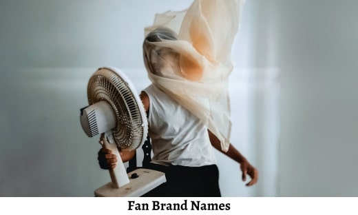 Fan Brand Names