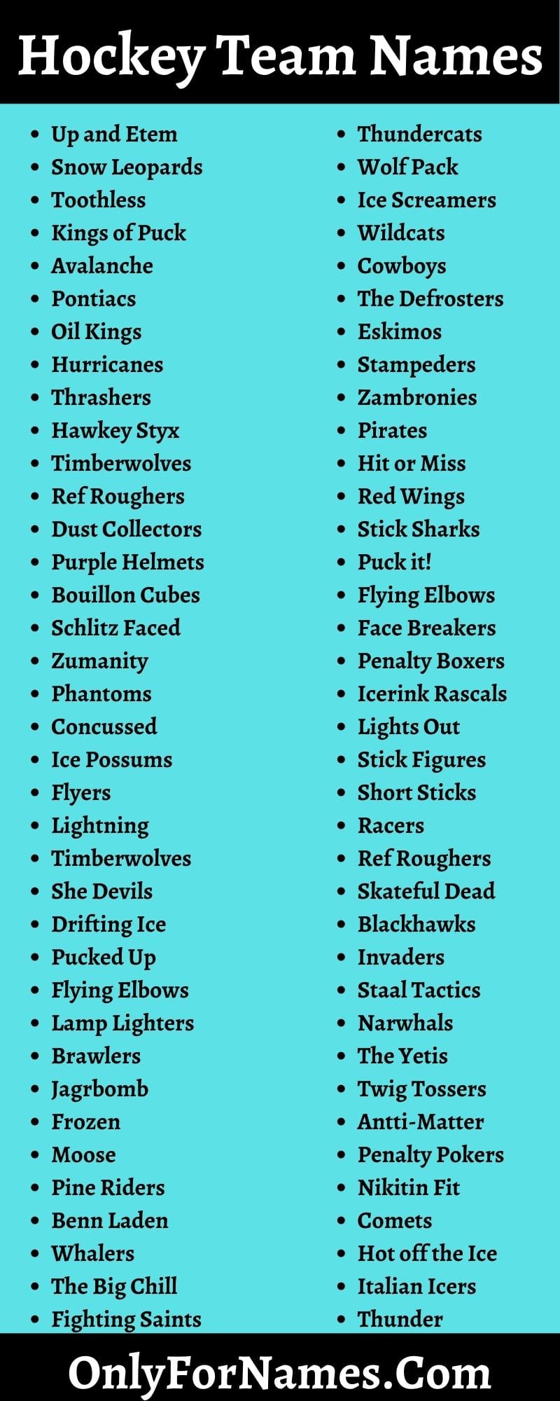 Hockey Team Names