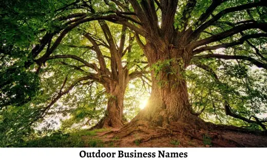 493-outdoor-business-names-to-get-new-customers