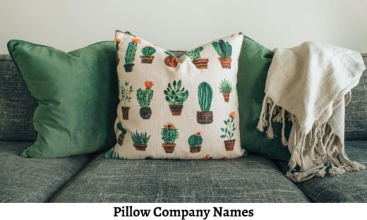 Pillow Company Names
