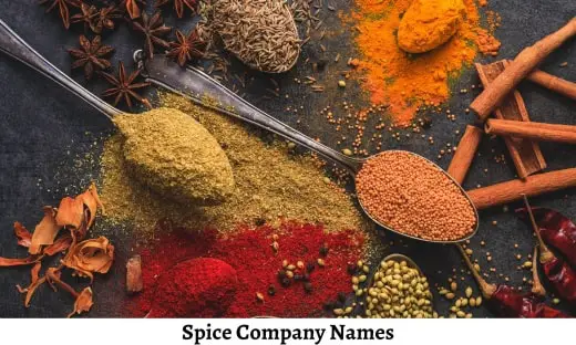 Spice Company Names