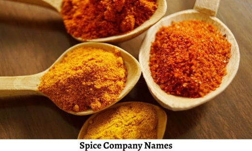 Spice Company Names