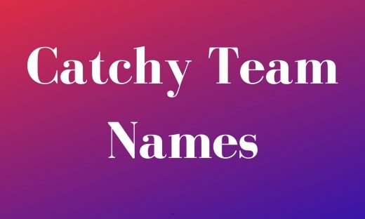 Catchy Team Names