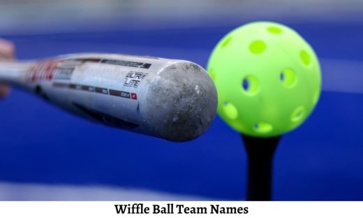 Wiffle Ball Team Names