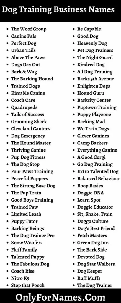 259+ Dog Training Business Names ( New & Updated )