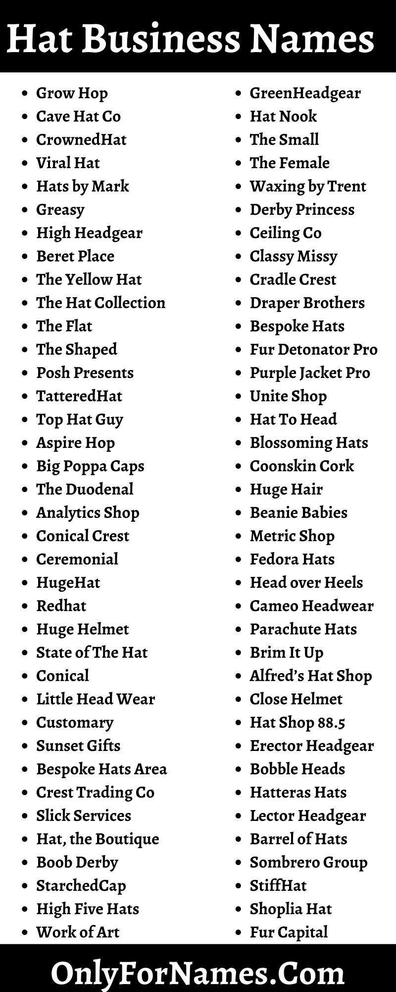 259+ Hat Business Names And Brand Names Also