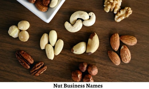 Nut Business Names