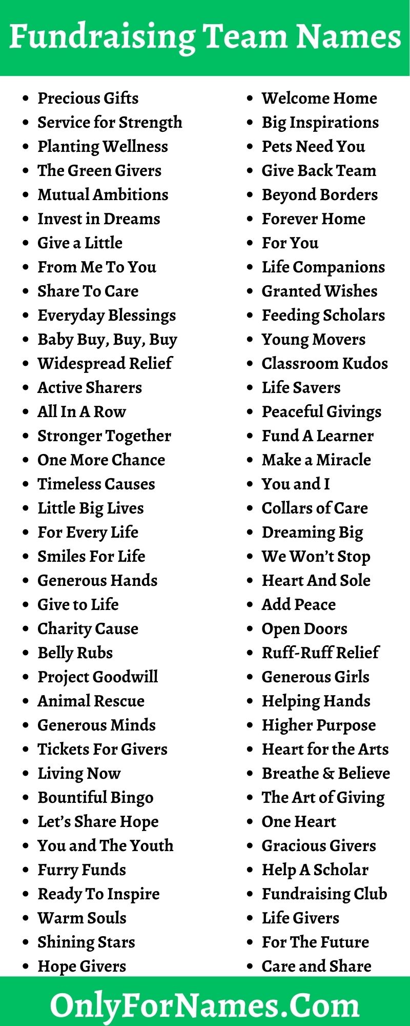 Fundraising Team Names