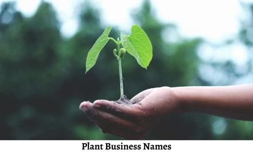 Plant Business Names