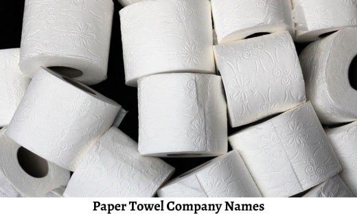 Paper Towel Company Names