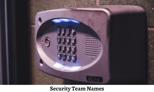 Security Team Names