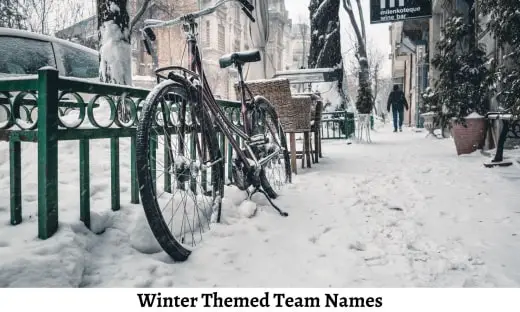 Winter Themed Team Names