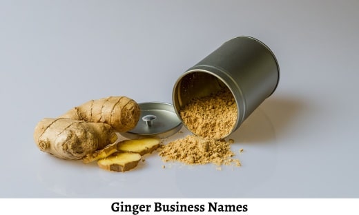 Ginger Business Names