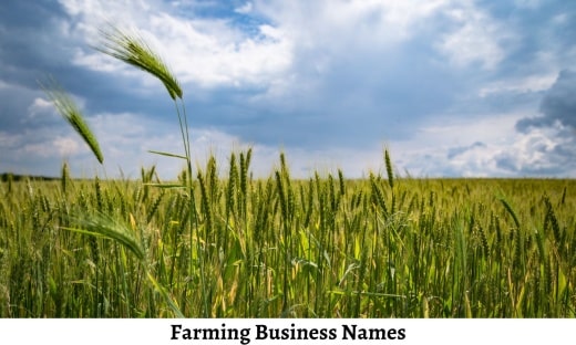 Farming Business Names