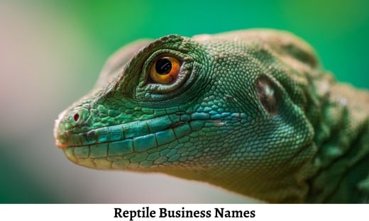 Reptile Business Names